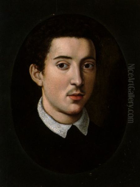 Presento Ritratto Giovanile Di Francesco I De'medici Oil Painting by Alessandro di Cristofano Allori