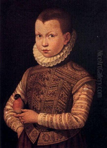 Retrato De Don Garcia De Medicis Oil Painting by Alessandro di Cristofano Allori