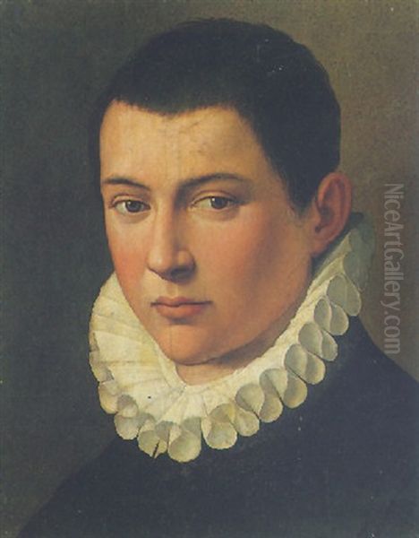 Portrait Of A Boy Wearing A White Ruff Oil Painting by Alessandro di Cristofano Allori