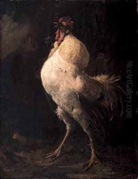 Gallo Oil Painting by Nicolas (Jimenez Caballero Navarro) Alperiz