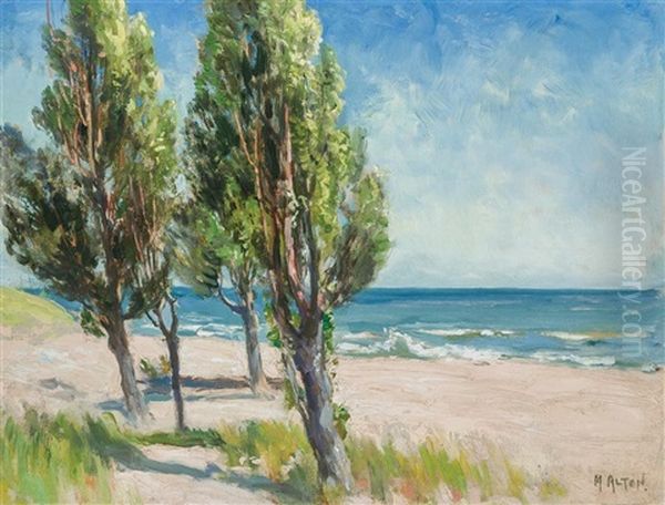 Landscape At The Beach Oil Painting by Mathias Joseph Alten