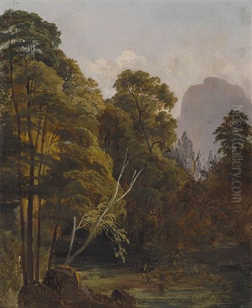 Baumgesaumter Bach In Gebirgslandschaft Oil Painting by Anton Altmann the Younger