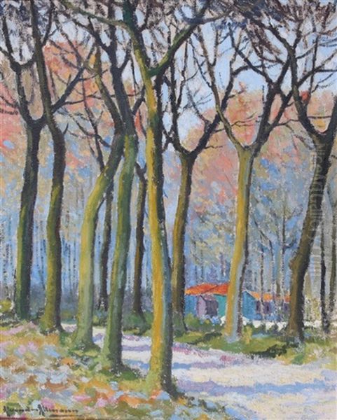 Chemin Et Allee D'arbres by Alexandre Altmann