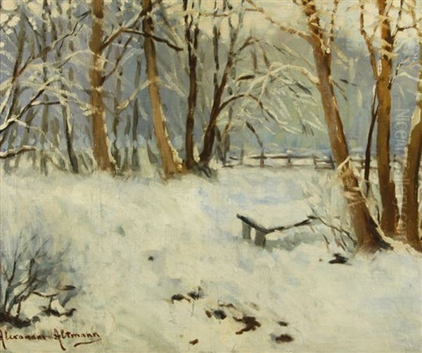 Park Under Snow Oil Painting by Alexandre Altmann