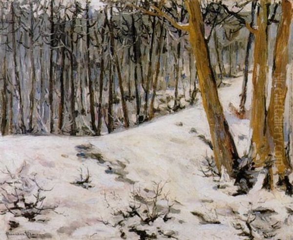 Sous-bois Enneige Oil Painting by Alexandre Altmann