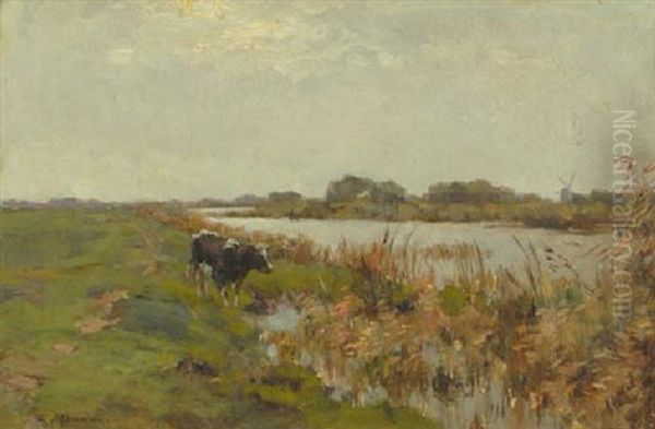 A Cow In A Polder Landscape Oil Painting by Gerard Altmann