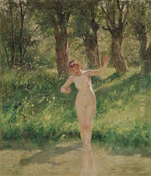 Female Nude At The Forest Pond Oil Painting by Franz Amling