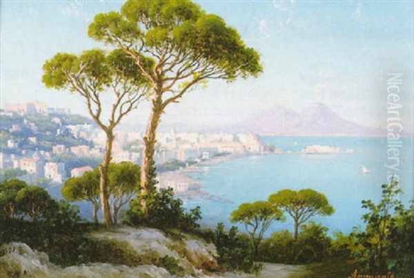 The Bay Of Naples Looking Towards Mount Vesuvius by Domenico Ammirato