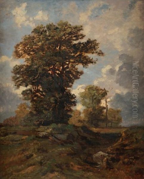 Les Chenes, Foret De Fontainebleau Oil Painting by Auguste Paul Charles Anastasi