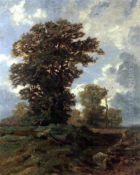 Les Chenes Oil Painting by Auguste Paul Charles Anastasi