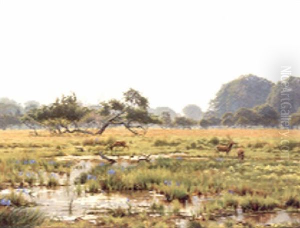 Deer In A Watermeadow Oil Painting by Wilhelm Andersen