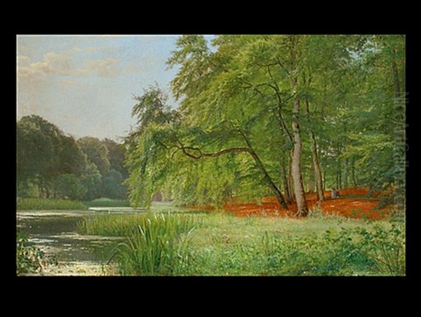 Waldlandschaft Mit Gewasser Und Schilf Im Sommer Oil Painting by Anders Andersen-Lundby