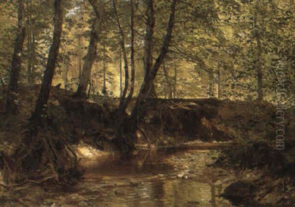 A Woodland Stream by Anders Andersen-Lundby