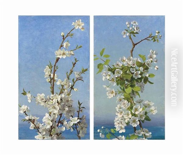 Two Studies Of Hawthorn Blossom, Capri (2 Works) Oil Painting by Sophie Anderson