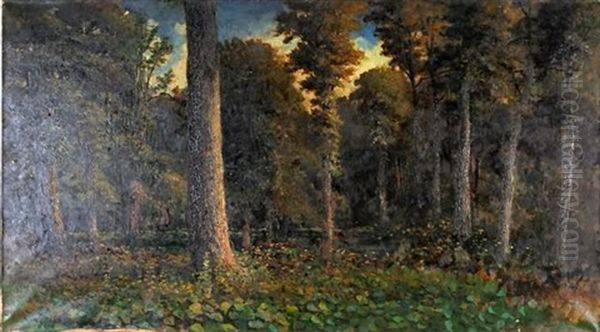 Woodland Interior Oil Painting by W. Livingston Anderson