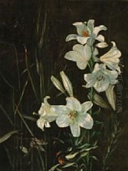 White Lilies Oil Painting by Signe Andreasen