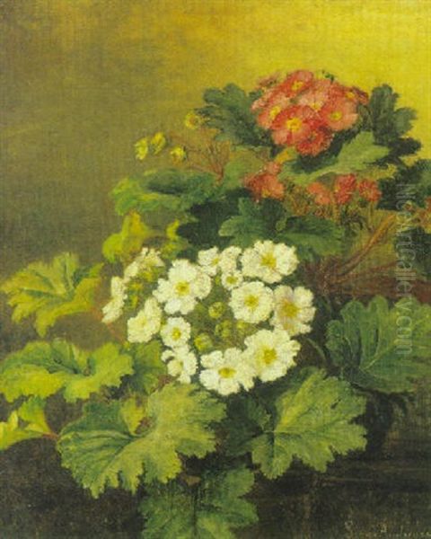 Potteplanter Oil Painting by Signe Andreasen