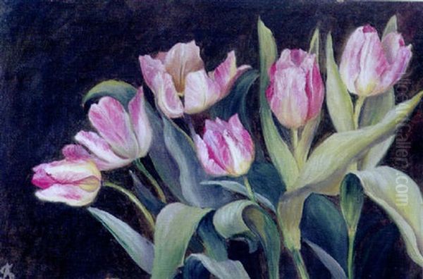 Papegojetulipaner Oil Painting by Signe Andreasen