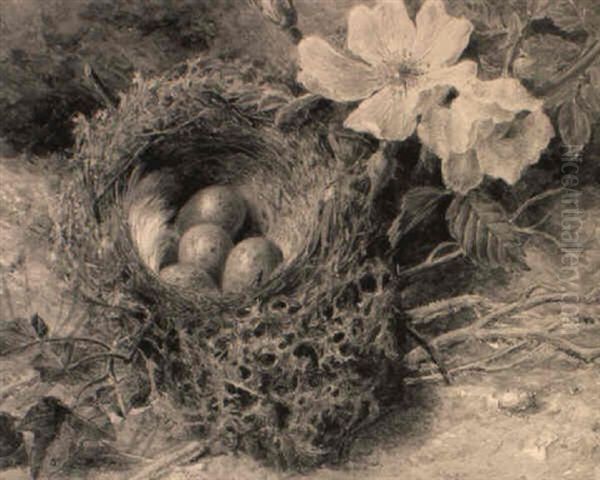 A Birdsnest And Briar Roses Oil Painting by Helen Cordelia Angell