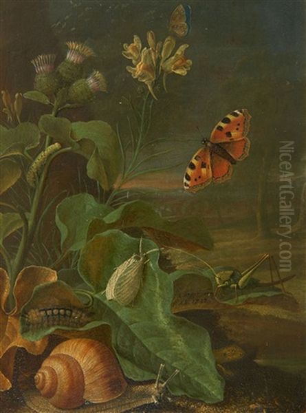 Still Life With Plants And Insects Oil Painting by Johann Adalbert Angermayer