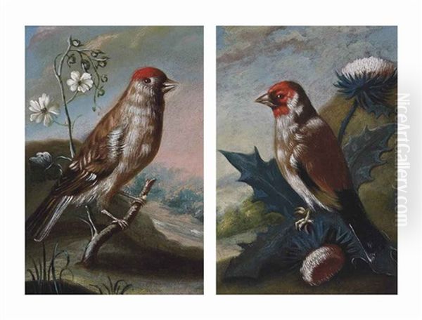 A Finch In A Landscape (+ A Finch On A Thistle In A Landscape; Pair) Oil Painting by Johann Adalbert Angermayer