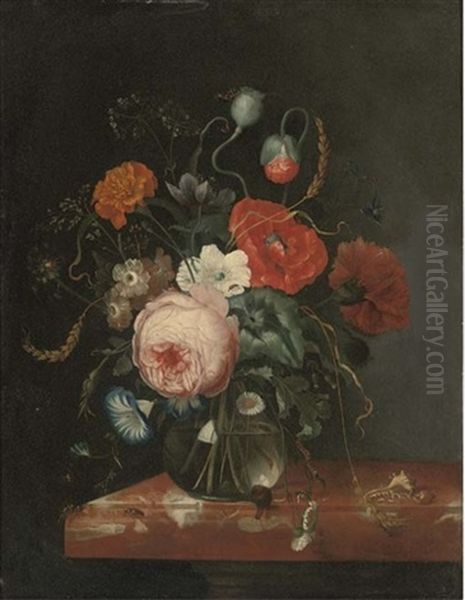 A Rose, A Peony, A Carnation, Convolvulus And Other Flowers In A Glass Vase On A Marble Ledge, With Seashells And Insects Oil Painting by Johann Adalbert Angermayer