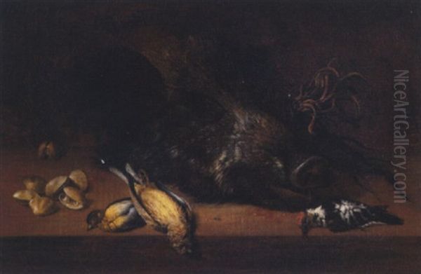 A Hunting Still Life With A Boar's Head, A Fly, Clams, A Jay And Other Birds On A Ledge Oil Painting by Johann Adalbert Angermayer