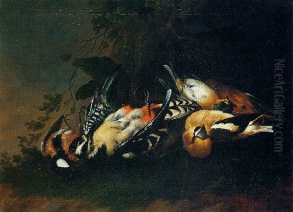 Nature Morte Aux Oiseaux Oil Painting by Johann Adalbert Angermayer