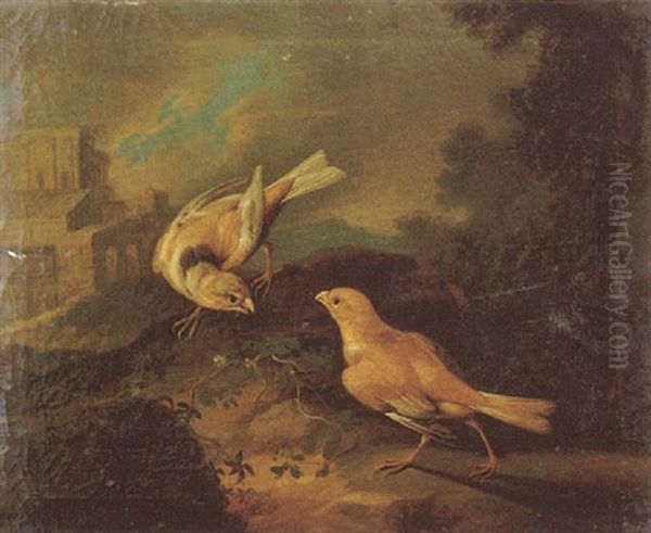 Oiseau Oil Painting by Johann Adalbert Angermayer