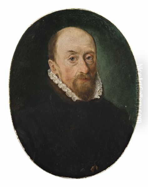 Portrait De Maximilien Ii D'autriche (1527-1576) Oil Painting by Sofonisba Anguissola