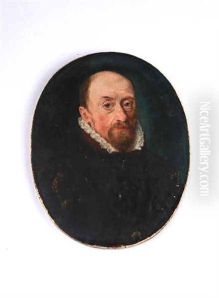 Portrait De Maximilien Ii D'autriche (?) Oil Painting by Sofonisba Anguissola