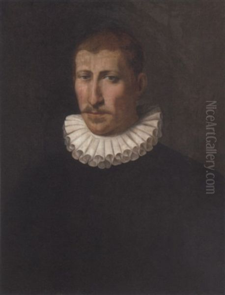 Portrait Of A Gentleman In A Black Doublet And A White Ruff Oil Painting by Sofonisba Anguissola