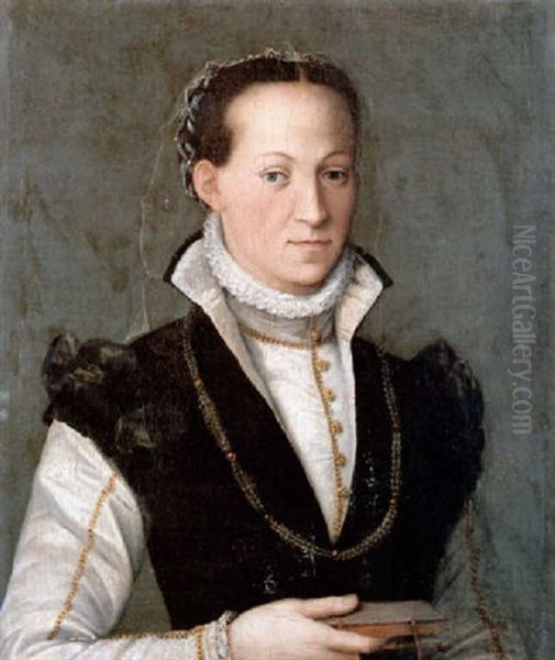 Bildnis Einer Dame, Die In Der Hand Ein Buch Halt Oil Painting by Sofonisba Anguissola