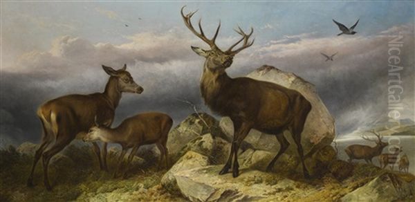 Home Of The Red Deer Oil Painting by Richard Ansdell