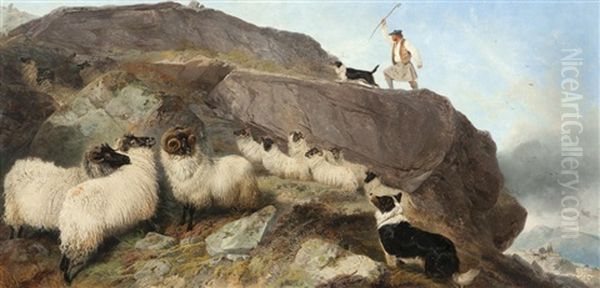 Sheep Gathering, Isle Of Skye Oil Painting by Richard Ansdell