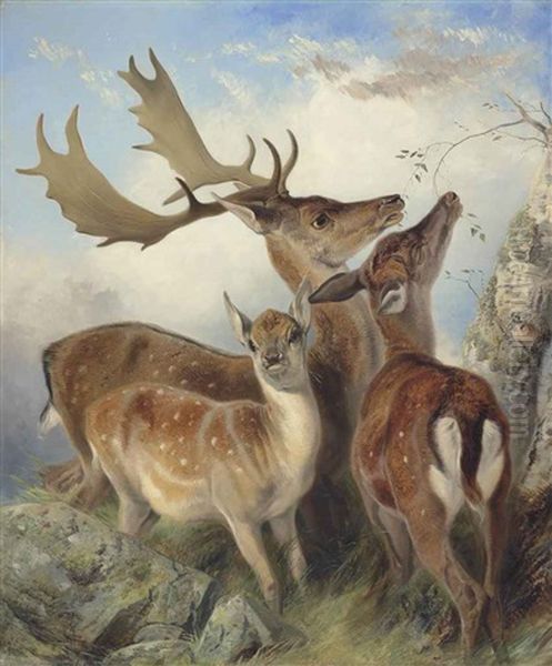 Fallow Deer Oil Painting by Richard Ansdell