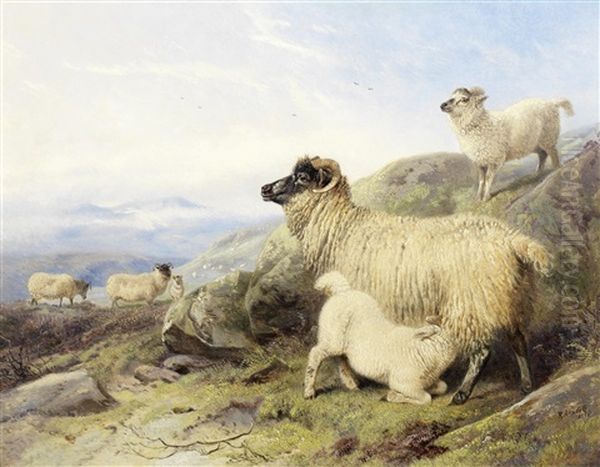 Sheep On A Mountainside Oil Painting by Richard Ansdell