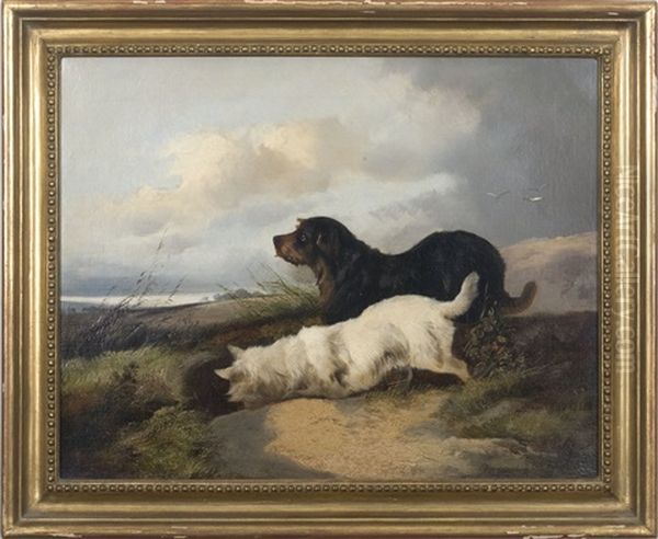 Terriers Ratting Along A Shore Oil Painting by Richard Ansdell