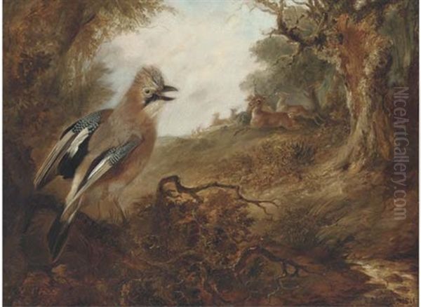 A Jay With Deer In A Park Oil Painting by Richard Ansdell