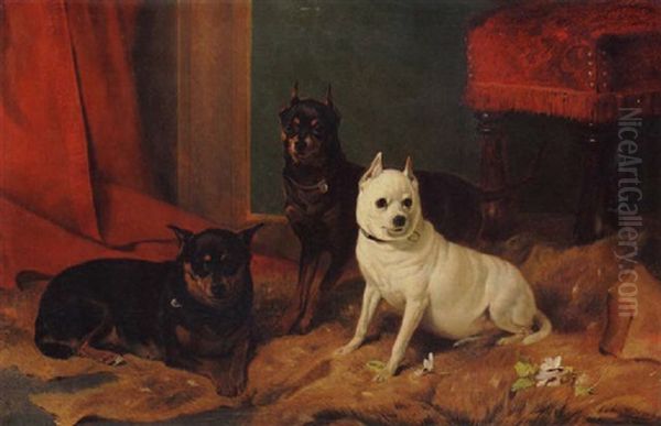 Two Manchester Terriers With An Old English White Terrier Oil Painting by Richard Ansdell