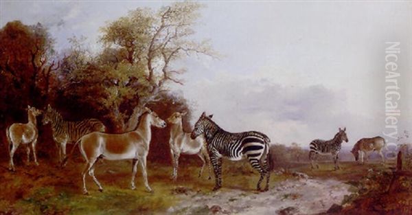 Wild Ass And Zebras In A Landscape Oil Painting by Richard Ansdell