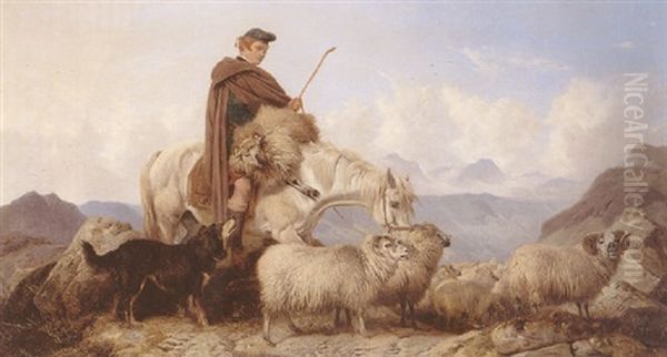 Highland Spate-sheep Being Rescued From The Rocks Oil Painting by Richard Ansdell