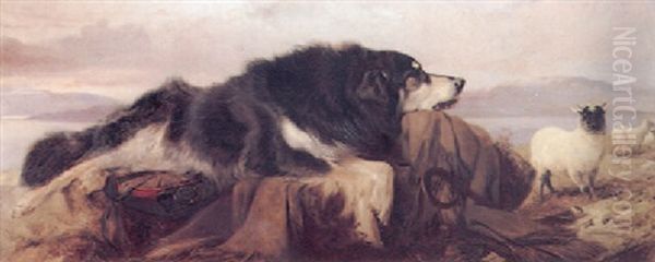 The Shepherds Dog Oil Painting by Richard Ansdell