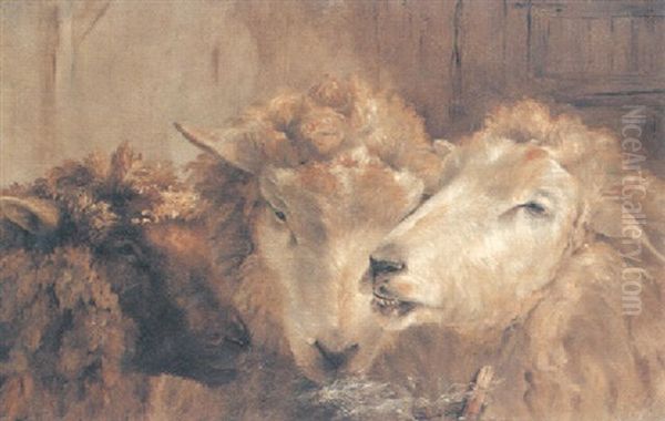 Study Of Sheep Oil Painting by Richard Ansdell