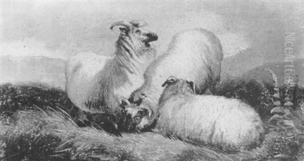 Scottish Blackface Sheep In Landscape Oil Painting by Richard Ansdell