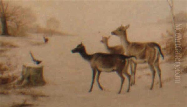 Deer In A Winter Landscape Oil Painting by Richard Ansdell