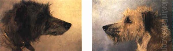 Two Studies Of Deerhounds Heads Oil Painting by Richard Ansdell