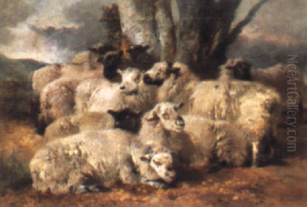 Sheep Beneath A Tree Oil Painting by Richard Ansdell