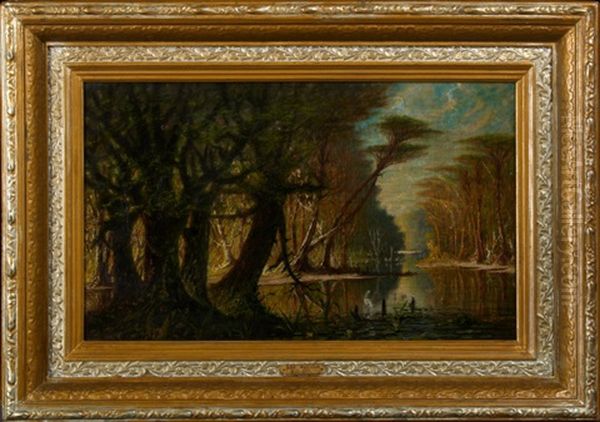 Mystic Louisiana Bayou Scene With White Heron Oil Painting by John Antrobus