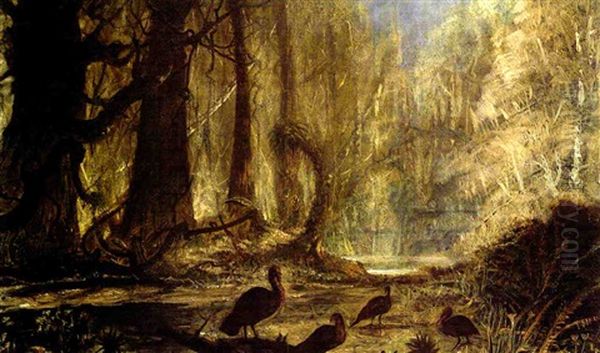 A Flock Of Turkeys In The Forest Oil Painting by John Antrobus